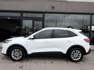 Ford Kuga 2.0 EcoBlue Hybrid 150 CV 2WD Titanium X (6)