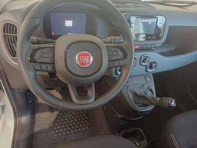 Fiat Pandina 1.0 firefly hybrid Icon s&s 65cv (2)