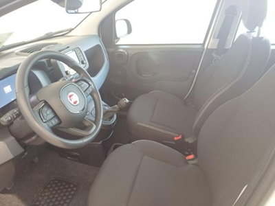 Fiat Pandina 1.0 firefly hybrid Icon s&s 65cv (3)