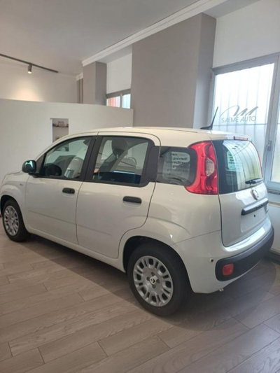 Fiat Pandina 1.0 firefly hybrid Icon s&s 65cv (7)
