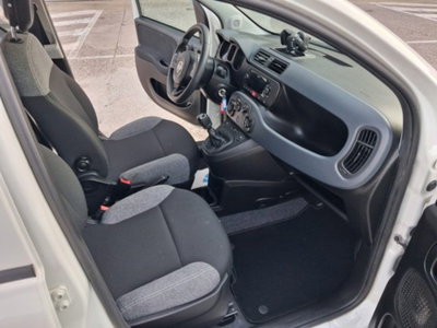 Fiat Panda 1.0 firefly hybrid s&s 70cv 5p.ti (14)