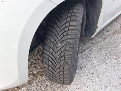 Fiat Panda 1.0 firefly hybrid s&s 70cv 5p.ti (15)