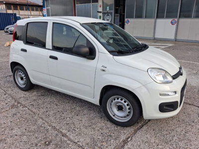 Fiat Panda 1.0 firefly hybrid s&s 70cv 5p.ti (5)