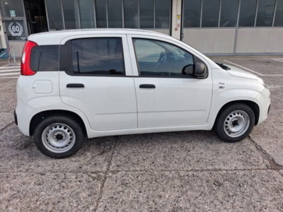 Fiat Panda 1.0 firefly hybrid s&s 70cv 5p.ti (6)