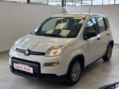 Fiat Panda 1.0 firefly hybrid s&s 70cv 5p.ti usata