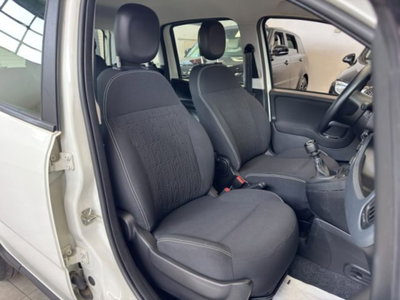 Fiat Panda 1.0 firefly hybrid s&s 70cv 5p.ti (10)