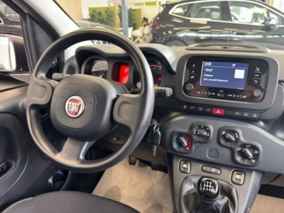 Fiat Panda 1.0 firefly hybrid s&s 70cv 5p.ti (12)