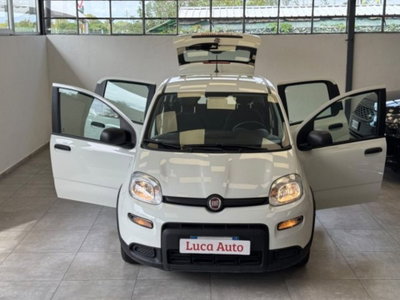 Fiat Panda 1.0 firefly hybrid s&s 70cv 5p.ti (2)