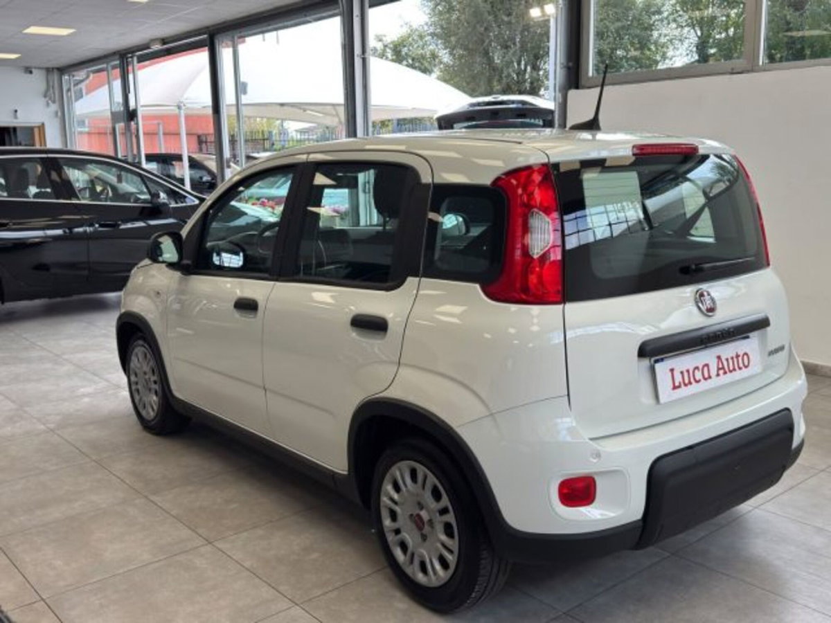 Fiat Panda 1.0 firefly hybrid s&s 70cv 5p.ti (6)