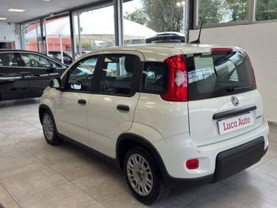 Fiat Panda 1.0 firefly hybrid s&s 70cv 5p.ti (6)