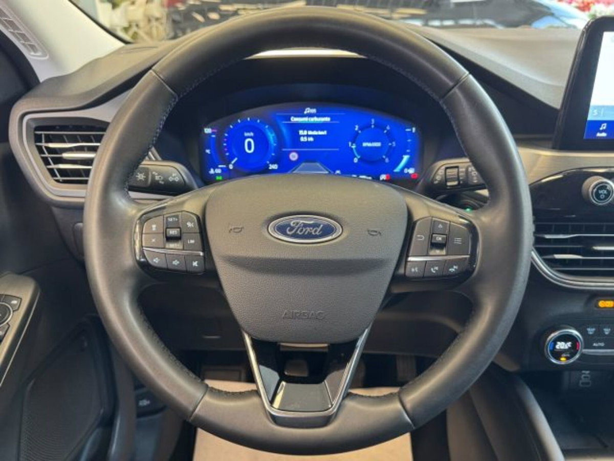 Ford Kuga 2.0 EcoBlue Hybrid 150 CV 2WD (12)