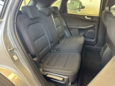 Ford Kuga 2.0 EcoBlue Hybrid 150 CV 2WD (15)