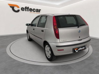 Fiat Punto 60 cat 5 porte S (4)