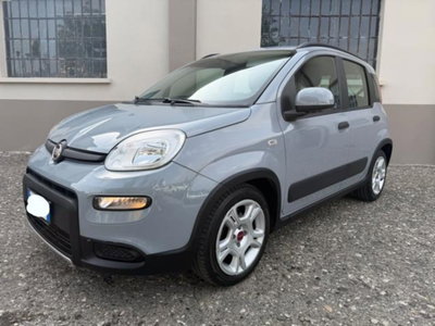 Fiat Panda 1.0 firefly hybrid s&s 70cv 5p.ti usata