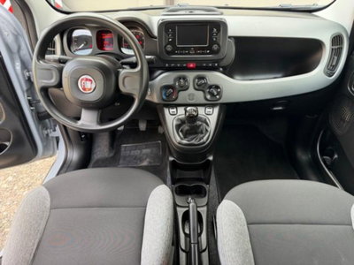 Fiat Panda 1.0 firefly hybrid s&s 70cv 5p.ti (10)