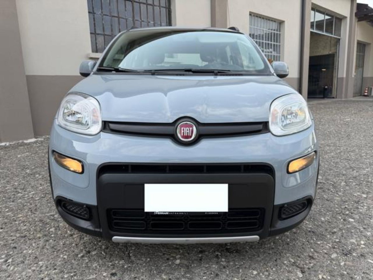 Fiat Panda 1.0 firefly hybrid s&s 70cv 5p.ti (2)
