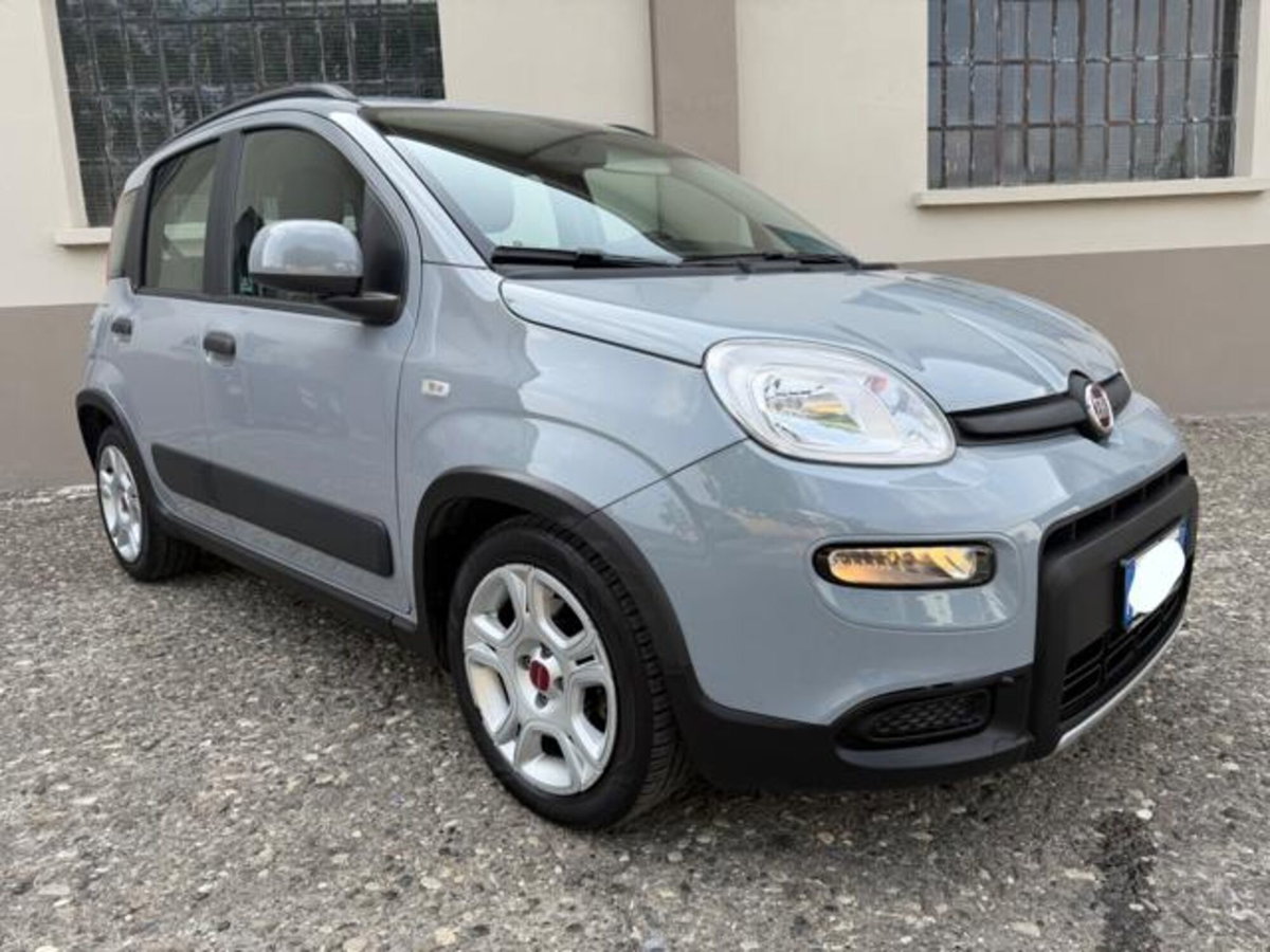 Fiat Panda 1.0 firefly hybrid s&s 70cv 5p.ti (3)