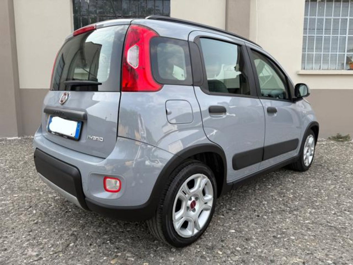 Fiat Panda 1.0 firefly hybrid s&s 70cv 5p.ti (4)