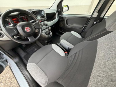 Fiat Panda 1.0 firefly hybrid s&s 70cv 5p.ti (9)