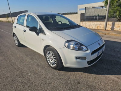 Fiat Punto 1.3 MJT 95CV S&S 5 porte Van Easy 4 posti (3)