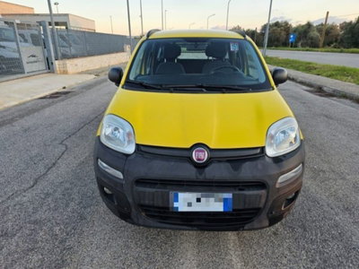 Fiat Panda 1.3 MJT S&S Easy Van 4 posti (2)