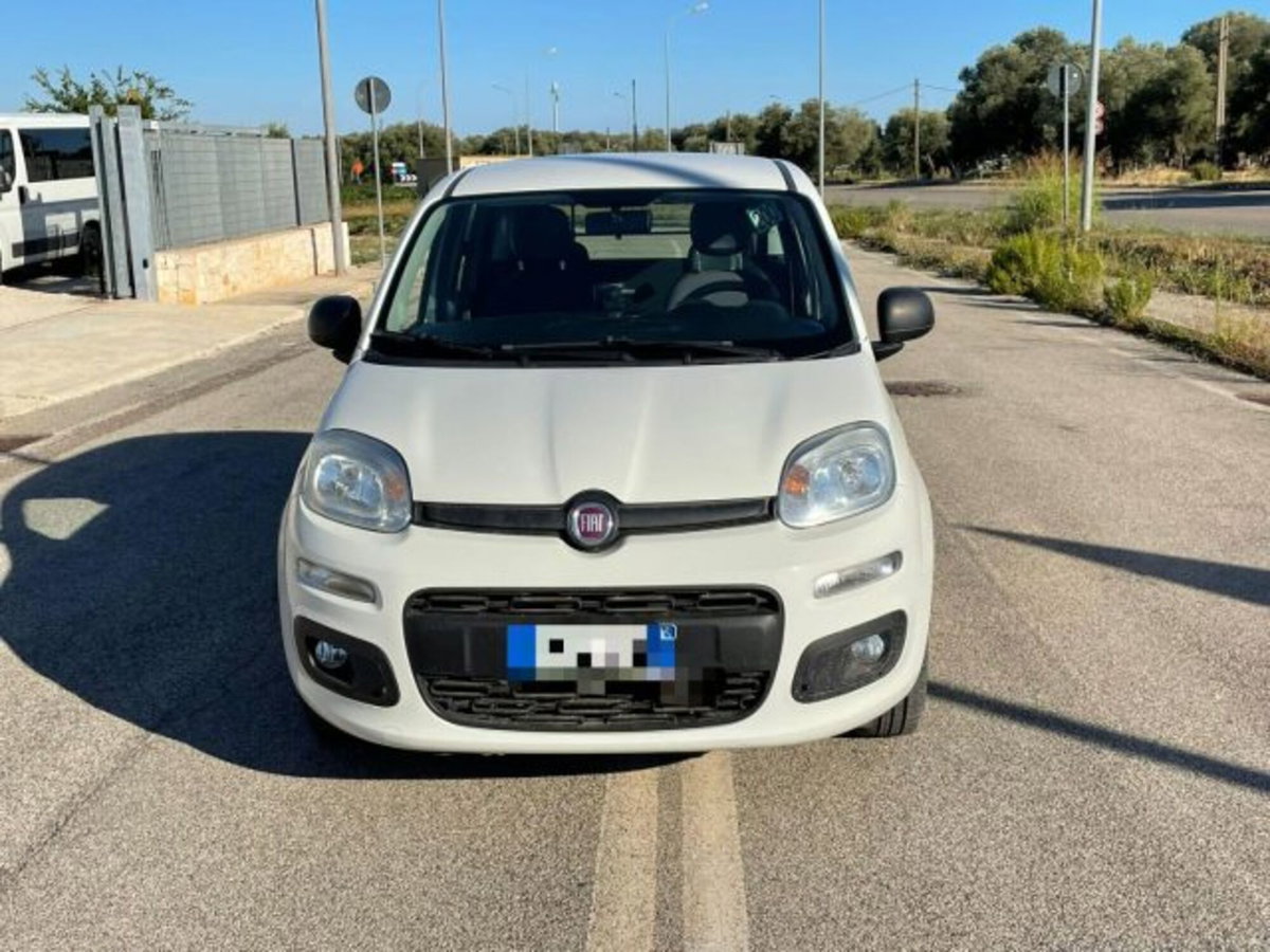 Fiat Panda 1.3 MJT S&S Easy Van 4 posti (2)