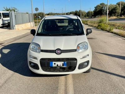 Fiat Panda 1.3 MJT S&S Easy Van 4 posti (2)