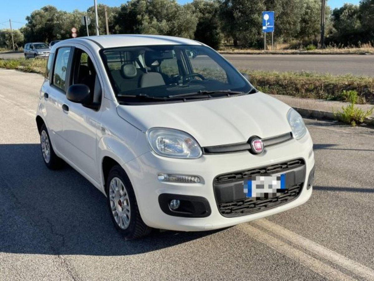 Fiat Panda 1.3 MJT S&S Easy Van 4 posti (3)