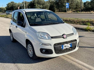 Fiat Panda 1.3 MJT S&S Easy Van 4 posti (3)