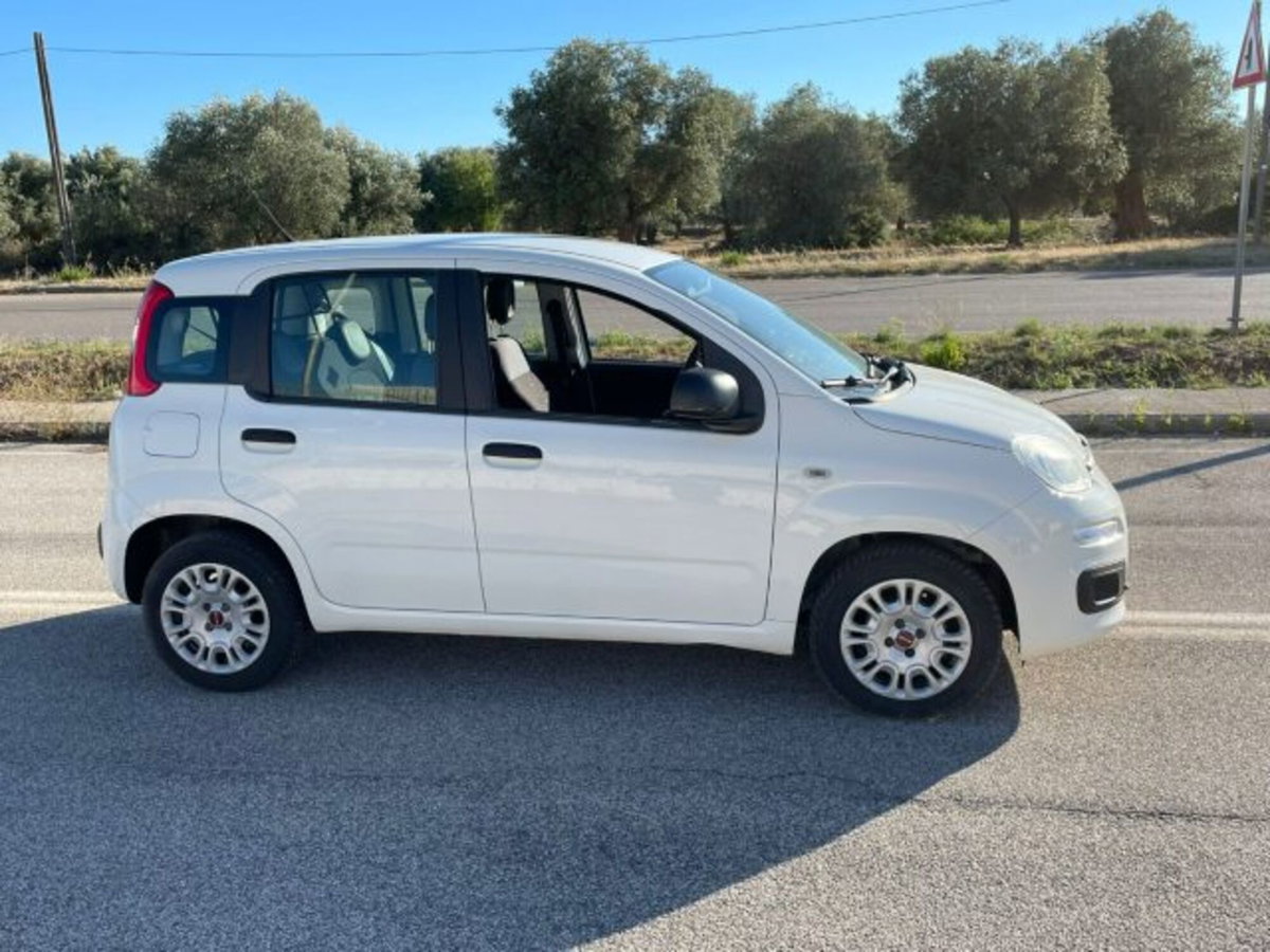 Fiat Panda 1.3 MJT S&S Easy Van 4 posti (4)