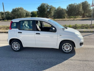 Fiat Panda 1.3 MJT S&S Easy Van 4 posti (4)