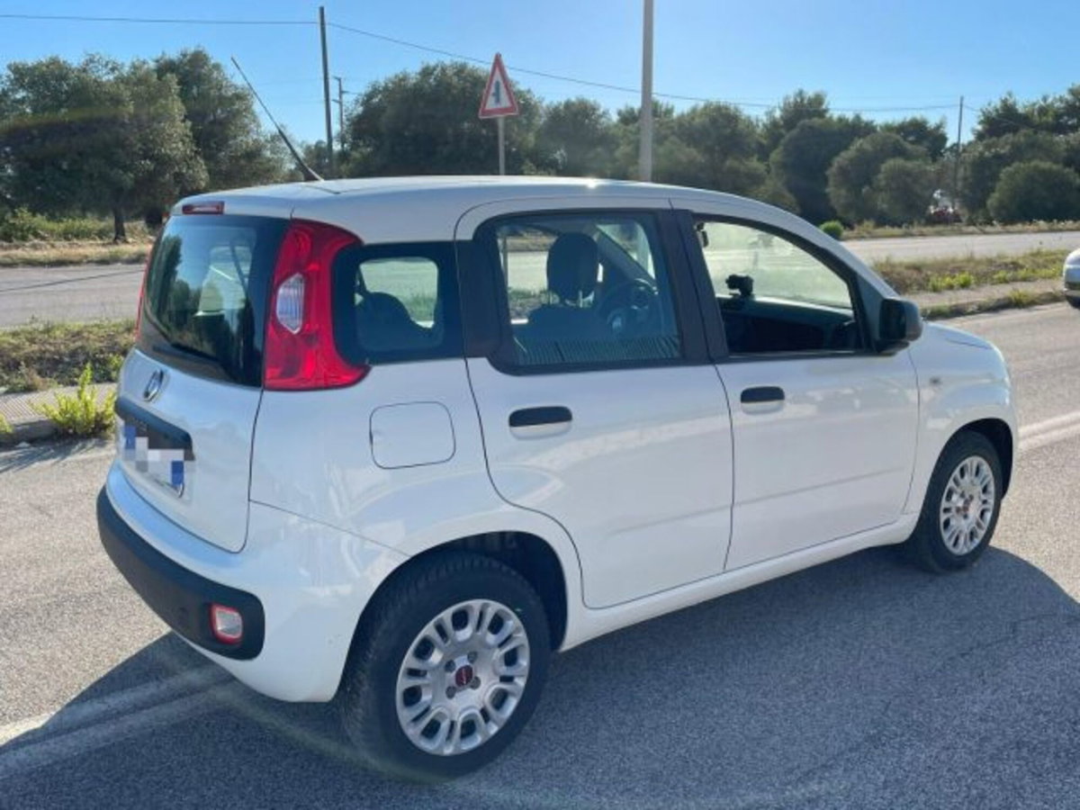 Fiat Panda 1.3 MJT S&S Easy Van 4 posti (5)