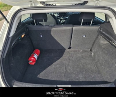 Fiat Tipo Station Wagon Tipo 1.3 Mjt S&S SW Pop (7)
