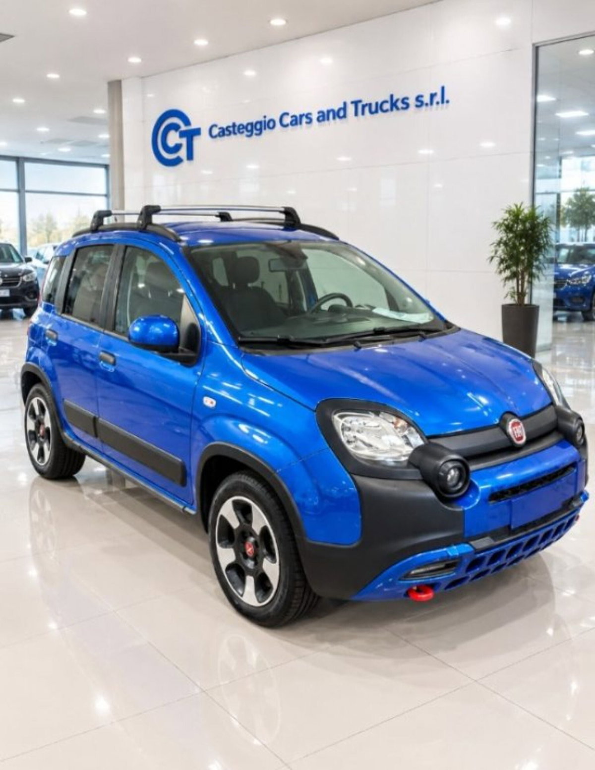 Fiat Panda Cross 1.0 firefly hybrid Cross s&s 70cv 5p.ti (20)