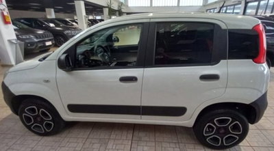 Fiat Panda 0.9 TwinAir Turbo S&S 4x4 Pop Van 2 posti (4)
