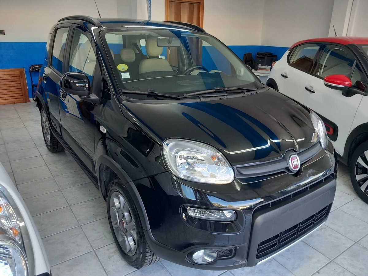 Fiat Panda 1.3 MJT S&S 4x4 (3)