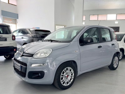 Fiat Panda 1.0 FireFly S&S Hybrid usata
