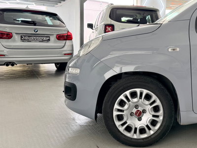 Fiat Panda 1.0 FireFly S&S Hybrid (12)