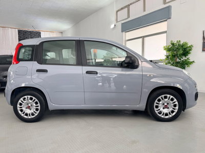 Fiat Panda 1.0 FireFly S&S Hybrid (4)