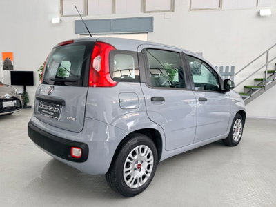 Fiat Panda 1.0 FireFly S&S Hybrid (5)