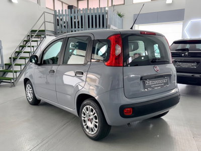 Fiat Panda 1.0 FireFly S&S Hybrid (7)