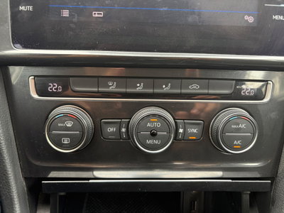 Volkswagen Golf 1.6 TDI 115 CV 5p. Executive BlueMotion Technology (13)