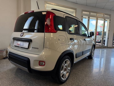 Fiat Panda 1.0 FireFly S&S Hybrid City Life usata