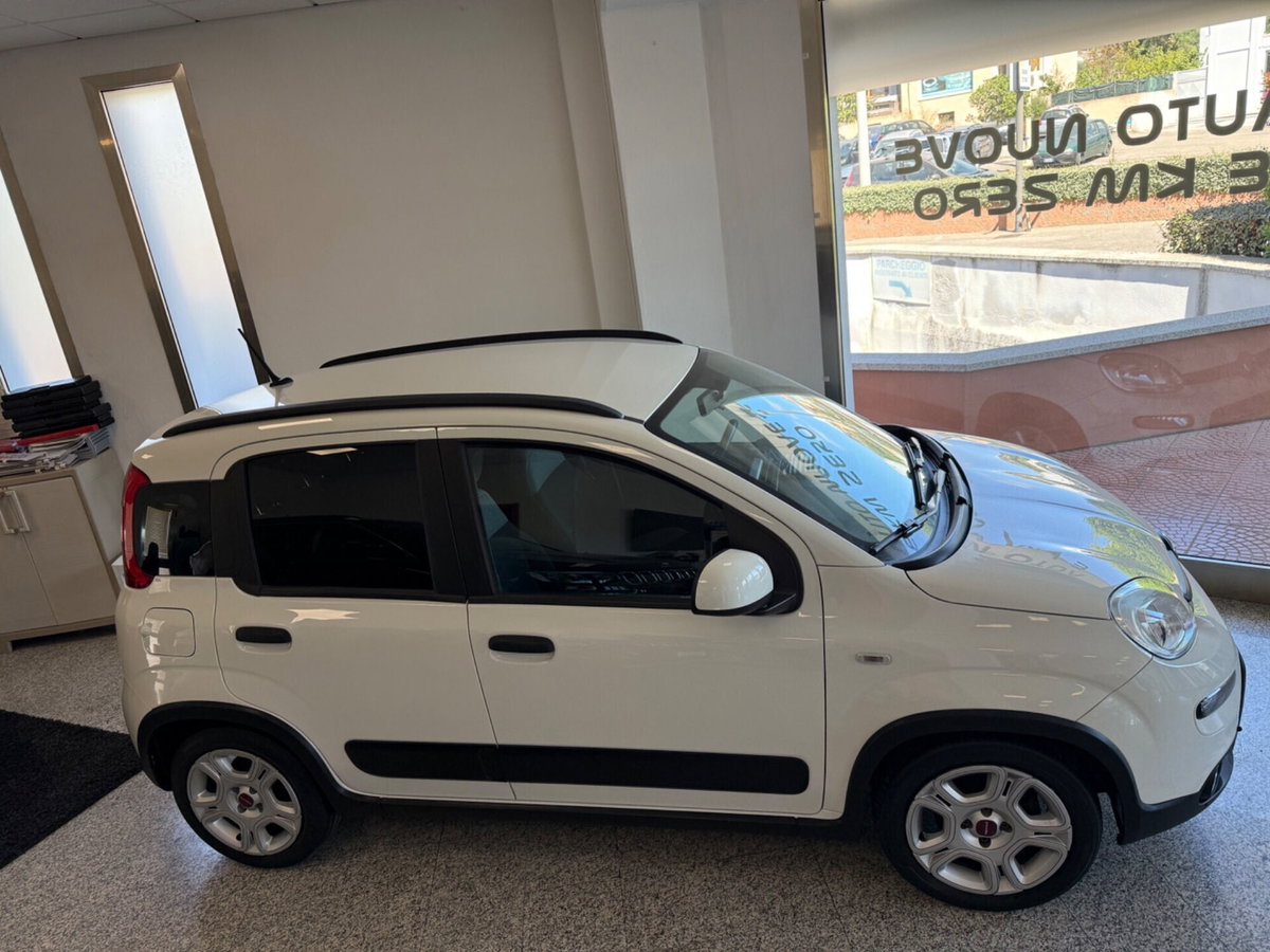 Fiat Panda 1.0 FireFly S&S Hybrid City Life (3)