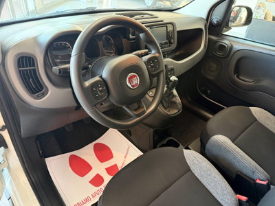 Fiat Panda 1.0 FireFly S&S Hybrid City Life (8)