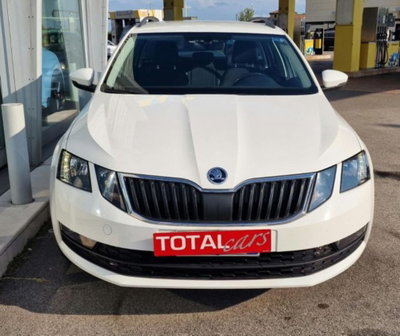 Skoda Octavia Station Wagon 1.4 TSI DSG Wagon Executive Plus G-Tec (2)