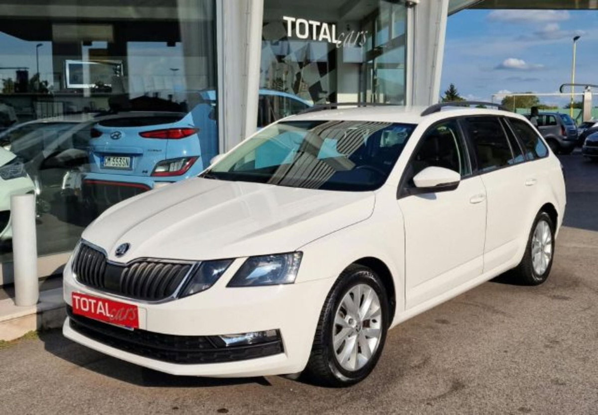 Skoda Octavia Station Wagon 1.4 TSI DSG Wagon Executive Plus G-Tec (4)