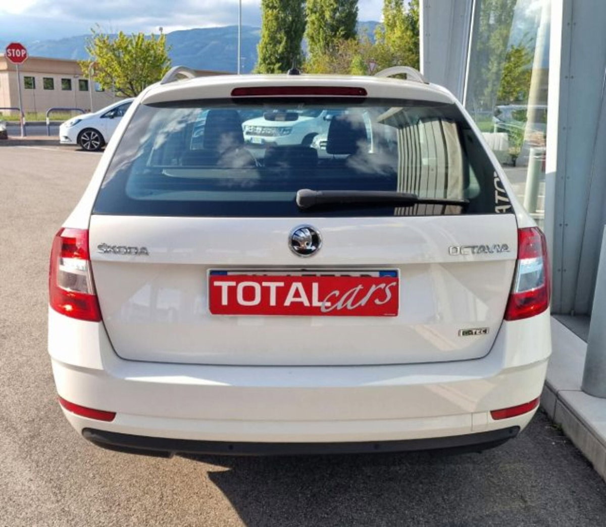 Skoda Octavia Station Wagon 1.4 TSI DSG Wagon Executive Plus G-Tec (8)