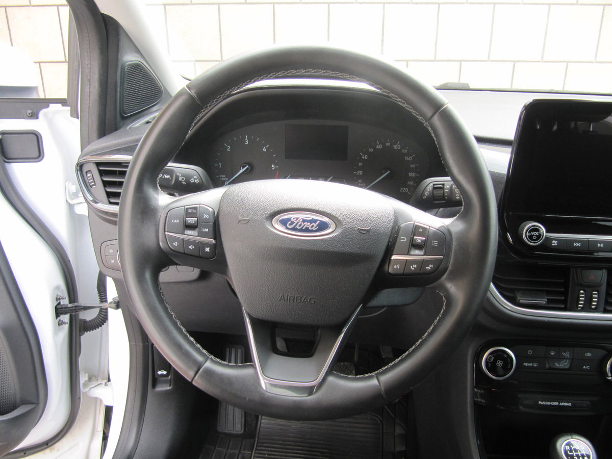 Ford Puma 1.5 EcoBlue 120 CV S&S Titanium (7)