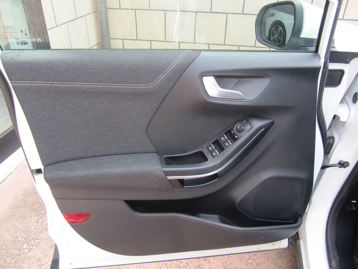 Ford Puma 1.5 EcoBlue 120 CV S&S Titanium (9)